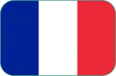 Flag 5